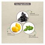 KT Professional Charcoal Keratin Shampoo For Scalp Cleansing & Hair Detox  